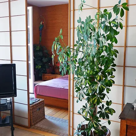 Apartment Le Neptune